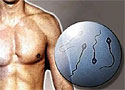 Количество сперматозоидов в семенной жидкости мужчин снизилось на 32,2 процента