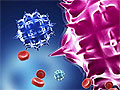 Новый образец препарата минимизирует процент заражения ВИЧ в течение трех месяцев