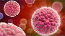 Папилломавирус человека ответствен за 26 000 случаев рака в год